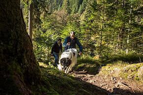 Holiday Inn Villingen - Schwenningen by IHG