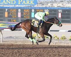 The Hotel at Sunland Park Casino El Paso, Ascend Hotel Collection