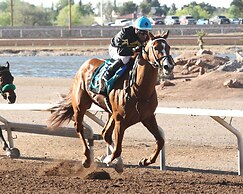 The Hotel at Sunland Park Casino El Paso, Ascend Hotel Collection