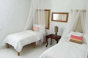 9 Bedroom Homes in Miami by TMG