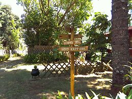 Vilar dos Carvalhinhos