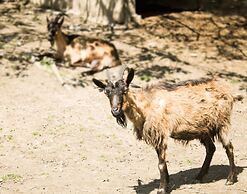 Stara Vodenica