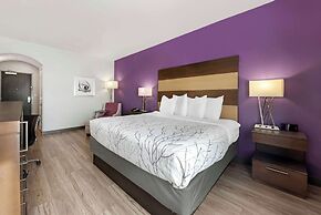 Best Western Plus Buda Austin Inn & Suites