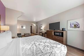 Best Western Plus Buda Austin Inn & Suites