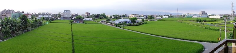 Green Field & Sunshine