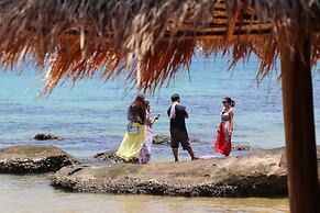 Tree House Bungalows Resort