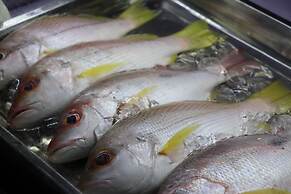 Tree House Bungalows Resort