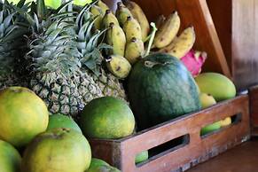 Tree House Bungalows Resort