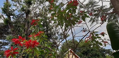 Spurwing Guest House