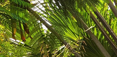 Spurwing Guest House