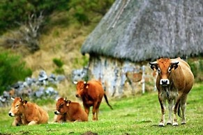 Gran Hotel Rural Cela