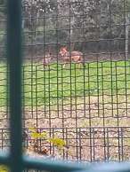 Gran Hotel Rural Cela