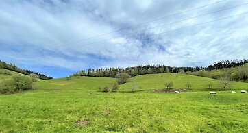 Traumhaftes Schwarzwaldhaus mit Swimmingpool