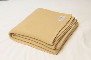 Richmond Hotel Matsumoto