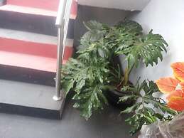 Flossie’s Bed and Breakfast