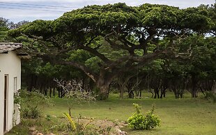 Rain Farm Game Lodge