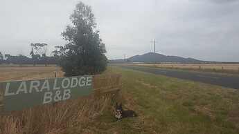 Lara Lodge
