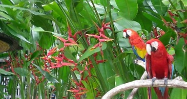 The Bali Purnati Center For The Arts