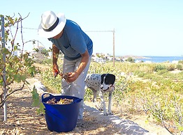 Good Life Greece Eco Villas