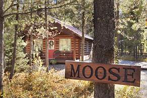 The Reclusive Moose Cabins