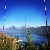 The Reclusive Moose Cabins