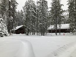 The Reclusive Moose Cabins
