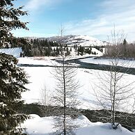 The Reclusive Moose Cabins