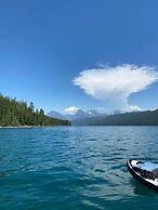 The Reclusive Moose Cabins