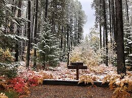 The Reclusive Moose Cabins