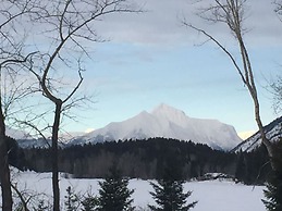 The Reclusive Moose Cabins
