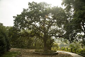 The Carp Islet Resort