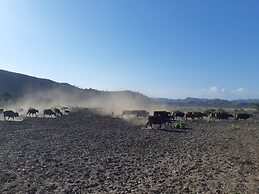 Harmony Villas Lombok