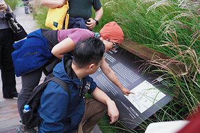 Chengdu Flipflop Hostel