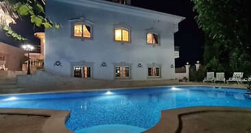 Silver Village Residence