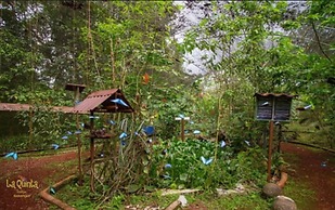 La Quinta Sarapiqui Lodge