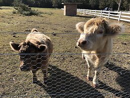 The Woods Farm Jervis Bay