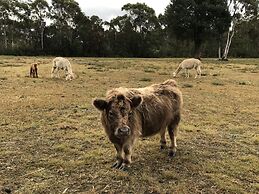 The Woods Farm Jervis Bay