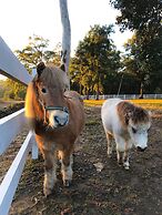 The Woods Farm Jervis Bay