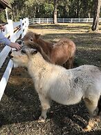 The Woods Farm Jervis Bay