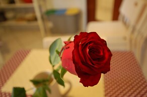 La Rosa Scarlatta Broseta