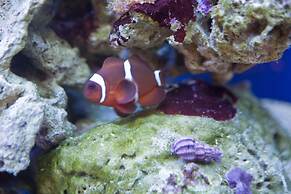 Hawksmoor Guest House