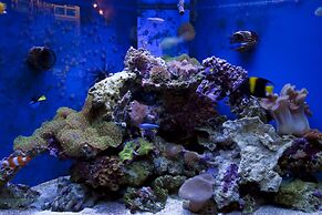 Hawksmoor Guest House