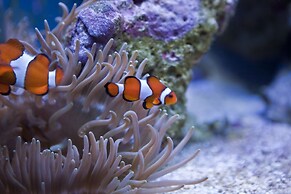 Hawksmoor Guest House