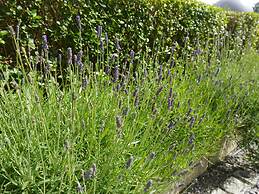 Hawksmoor Guest House