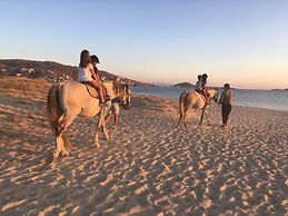Ploes Seaside Houses