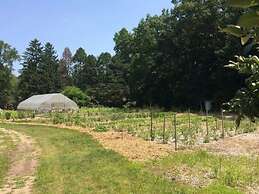 Goldberry Woods