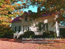 Mulberry Lavender Farm and B&B