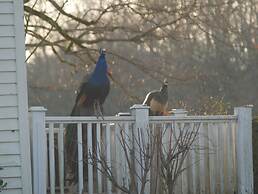 Mulberry Lavender Farm and B&B