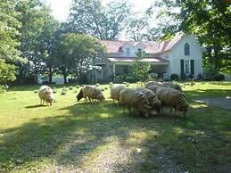 Mulberry Lavender Farm and B&B