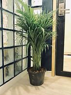 Kinnon Deluxe Hostel Coworking Cafe